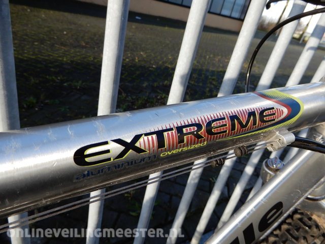tiran Circus vermoeidheid Mountain bike Gazelle, Extreme aluminum oversized » Onlineveilingmeester.nl